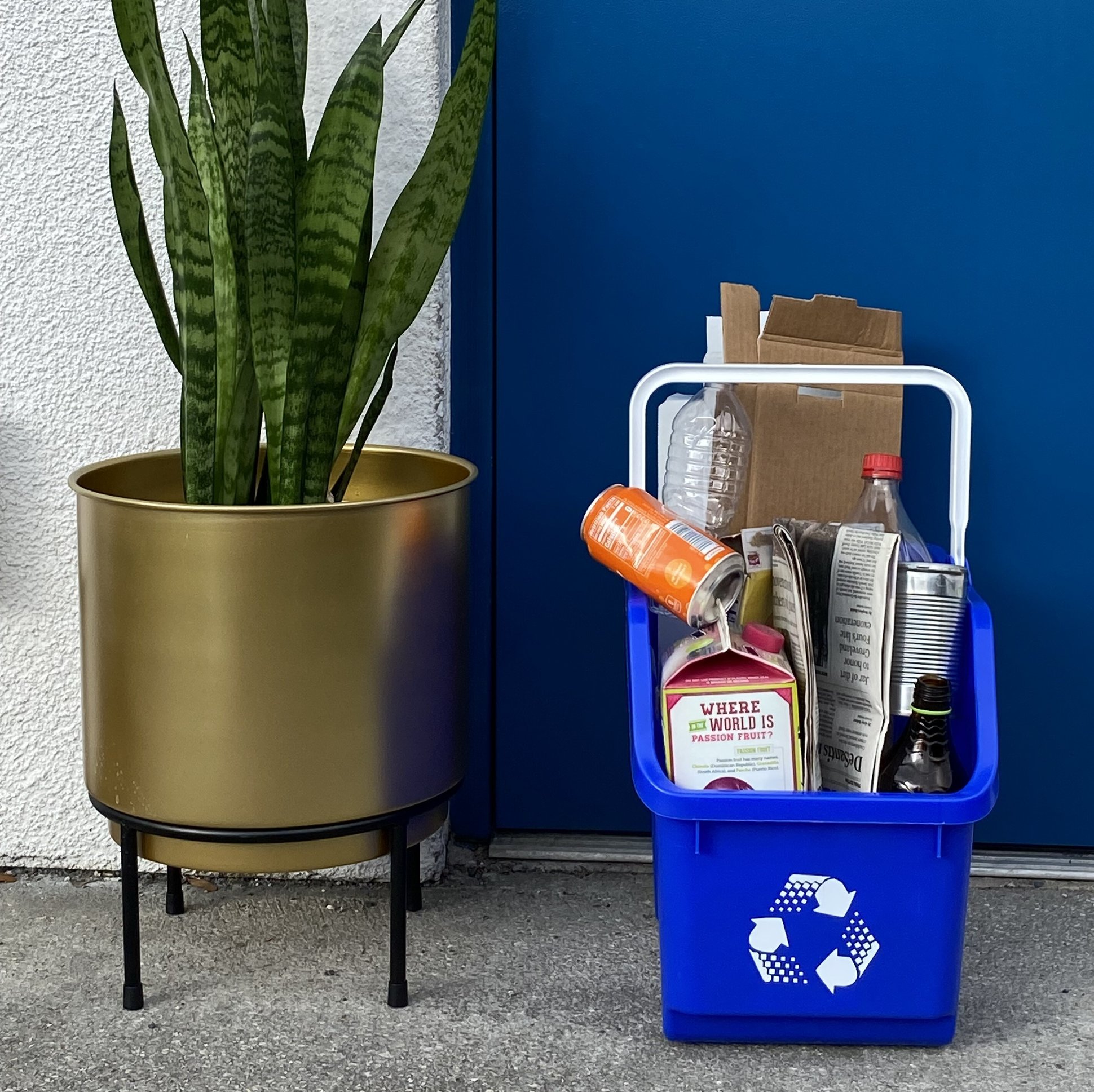 Picture of full recycling bin and plant outside front door